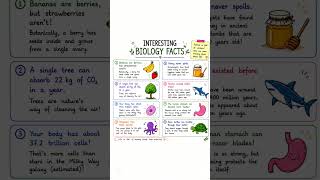 #biologyfacts #education #trendingshorts #viralvideo #scienceinfo #information