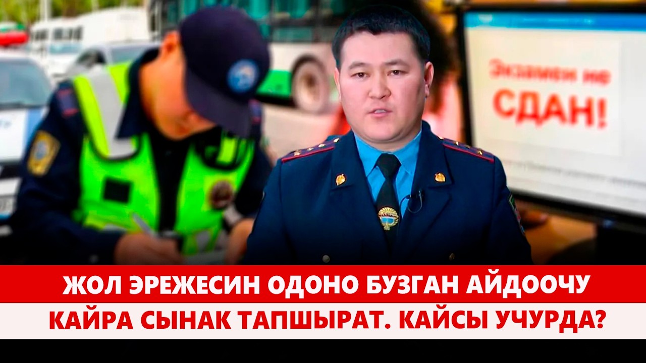 Жол коопсуздугун жакшыртуу үчүн жаңы чара