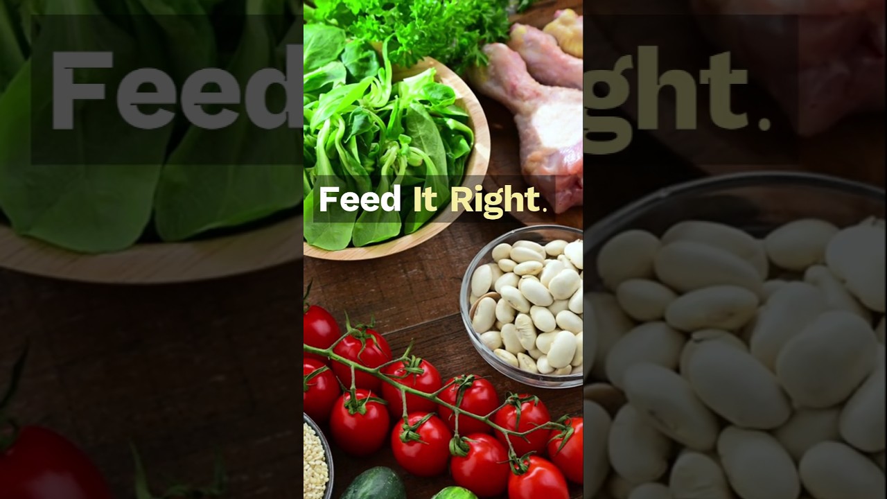 Essential Foods For Maintaining A Healthy Nervous System | Senior Health Tips