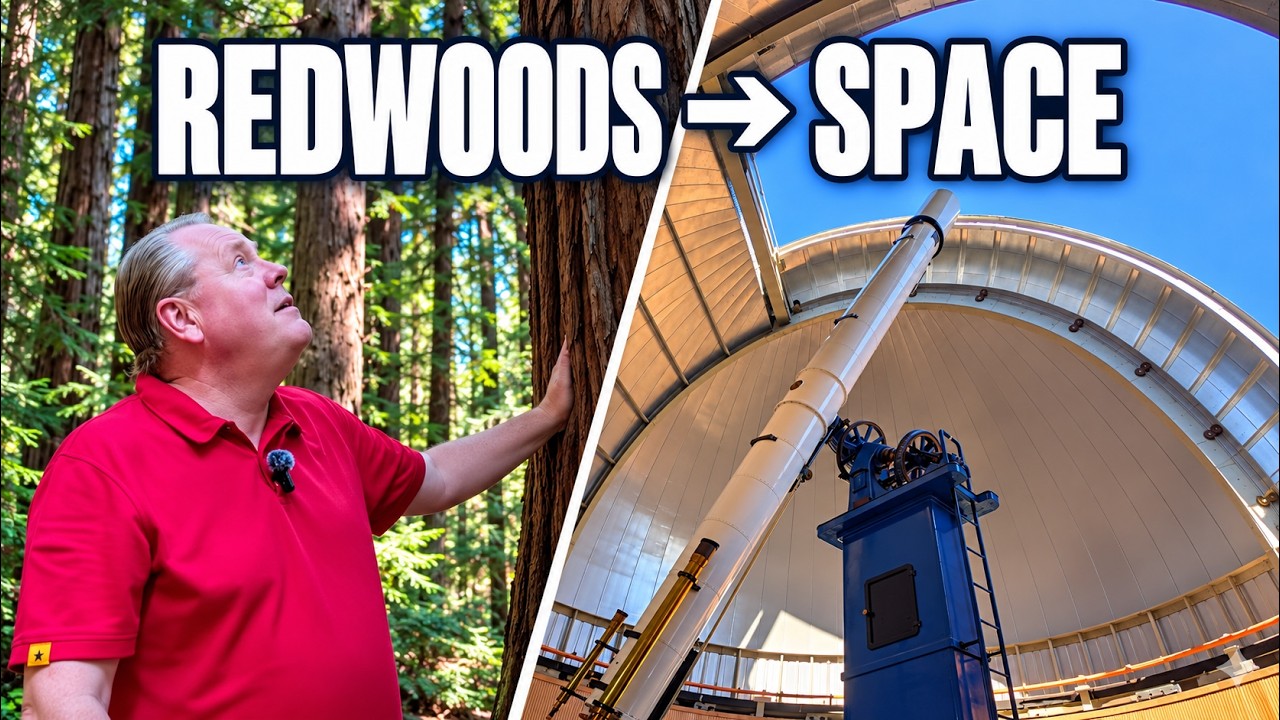 Things to Do in Oakland: Redwoods, Chabot & Giant Telescopes