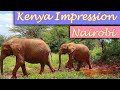 [Halfway Travel] Kenya Impression EP.1 - Explore Nairobi with me || 肯亞印象: 奈洛比