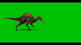 Spinosaurus Running Green Screen Part 3