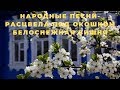 Народные песни расцвела под окошком белоснежная вишня