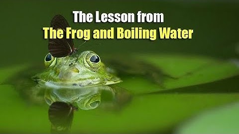 Life Lesson | A Frog and Boiling Water Story |Motivaion Bites