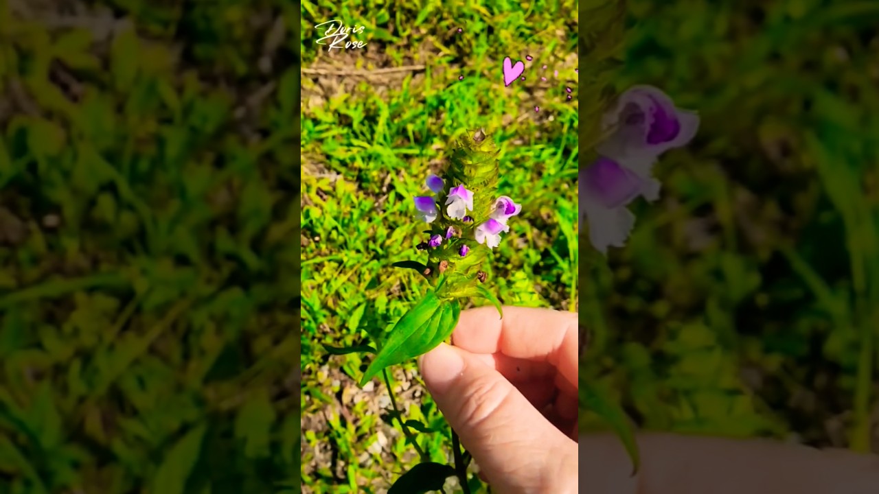 Trivia! Can You Guess?