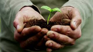 Tree Track, A new innovation for planting trees