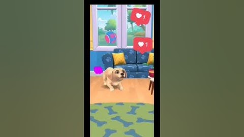 Dog run #dogrun #doglove #doglover #subwaysurfers #dogrunning #pets #mypet #petgames