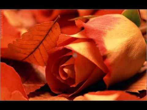 клип Моя милая свекровь.flv