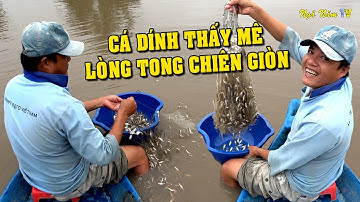 Giăng Lưới Bắt Cá Lòng Tong Chiên Giòn Cá Dính Liền Lưới Thấy Mê/NGÃ NĂM TV