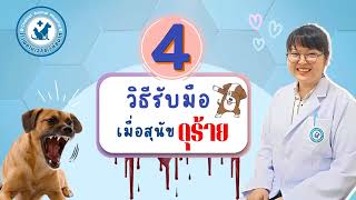 สุนัขดุแก้ได้! ด้วย 4 วิธีนี้