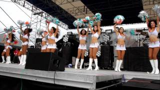 The Beautiful Miami Dolphins Cheerleaders video by Rockhardchic.com