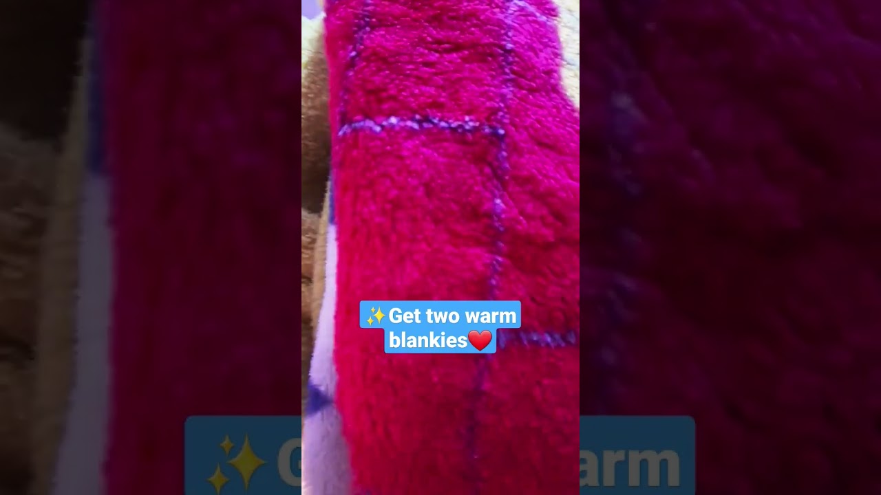 ✨how to keep your birds nice and warm in the cold✨ winter