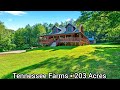 Tennessee Farms For Sale / 203 Acres/ Cross Creek Clays Estate / Tennessee Land For Sale