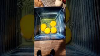 Over Performing Hen, Double Yolks