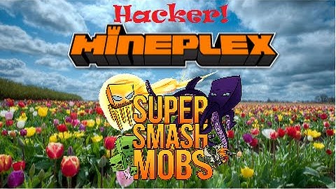 SSM: Hacker The_SalamanderX