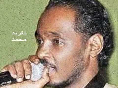 محمود عبد العزيز يخجل البدر يخمد المصباح ياليل هات لينا صباح