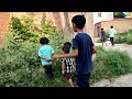 मेरे प्यारे गाँव की खूबसूरत सुबह ☀️ | Village Morning Routine Vlogging || Aditya Verma Vlogs 