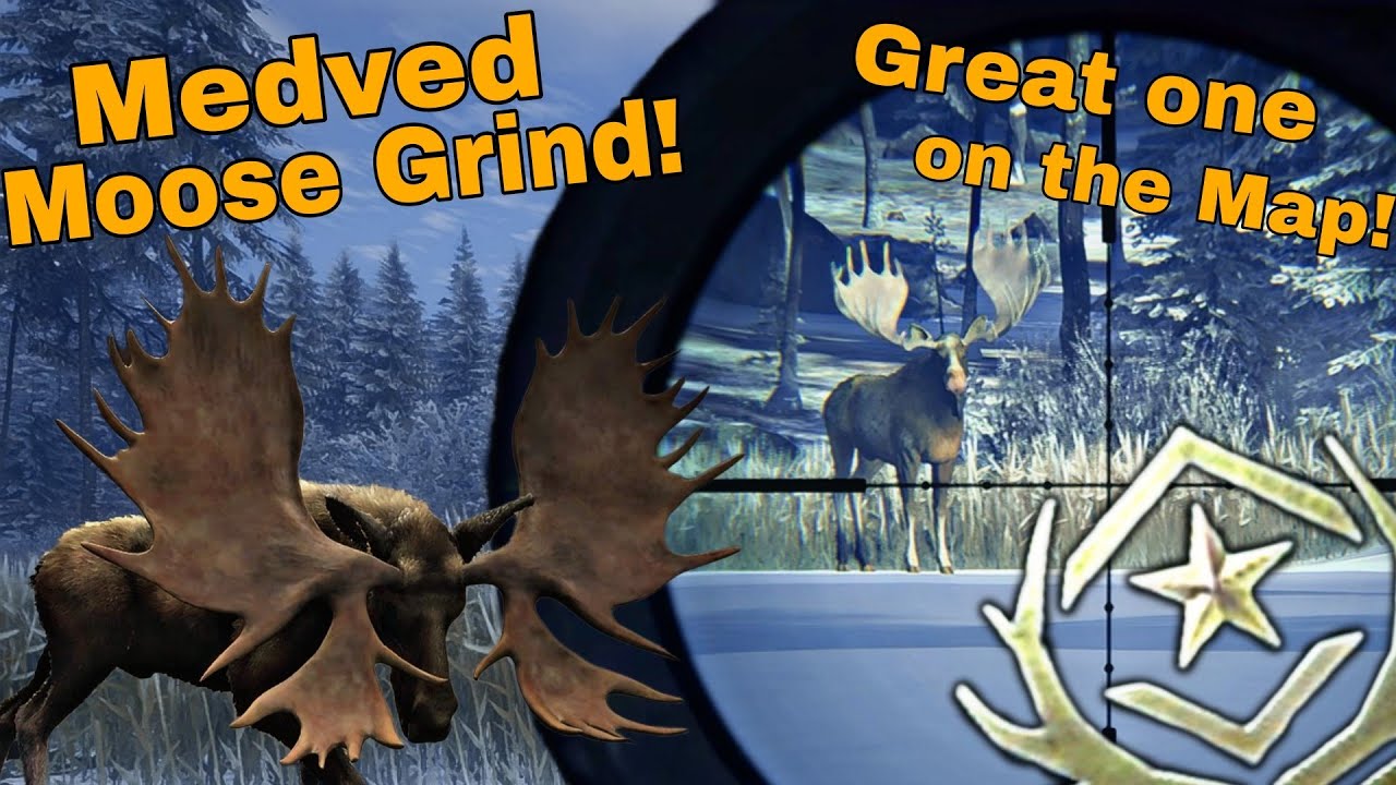 Great one Moose on the Map + 26 more Diamond Moose!! 1581 Kills 51💎 5 Rares 24 Trolls