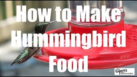 Homemade Hummingbird Nectar Recipe