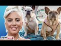 Lady Gaga's Dognappers ARRESTED & Charged!