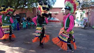 danza San Juan de los Lagos Saltillo hedionda grande