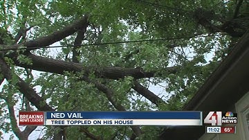 Crews work to clear downed trees in KC