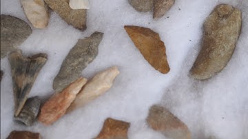 I Need   Display Cases on our tree farm    for artifacts   and arrowheads