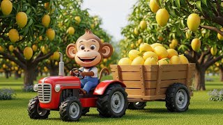Super Monkey Saves The Mango Harvest Epic Tractor Adventure On Super Monkey Farm