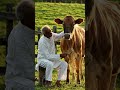 Jay Mata Di #shortvideo
