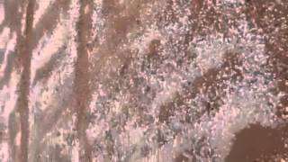 امطار عرعر وبَرد وثلج حزم الجلاميد 12-2-1434