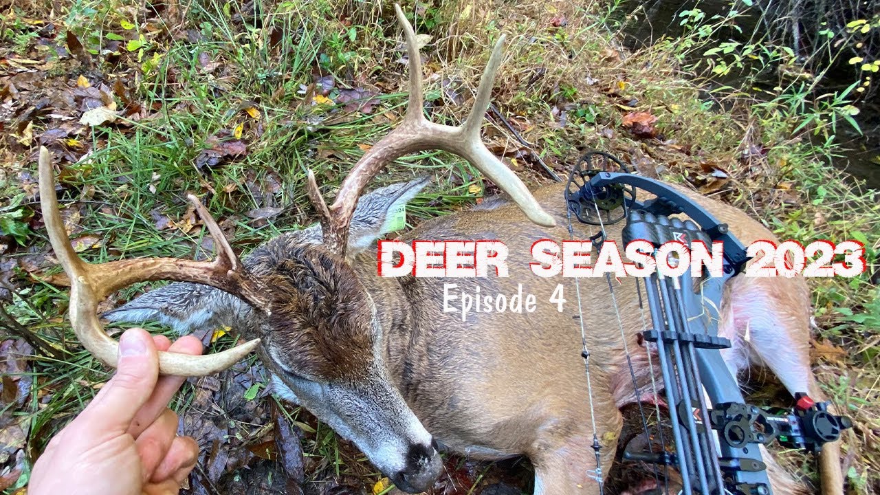 You won’t BELIEVE what happens!!! GROUND BOWHUNTING Public Land BUCK