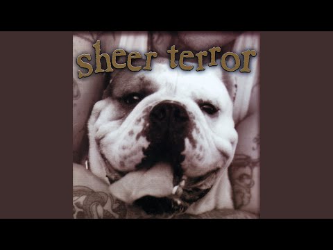 洋楽 SHEER TERROR SHEER TERROR - Just Can't Hate Enough 1989 full album - YouTube
