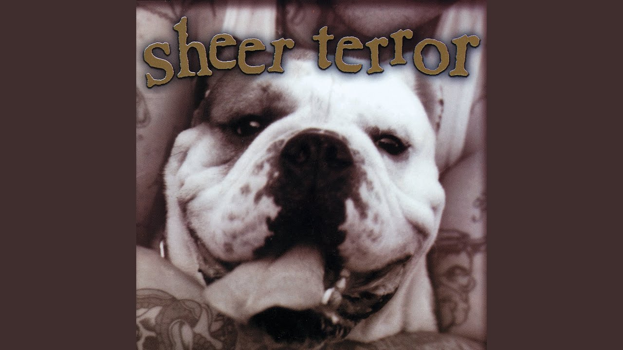 洋楽 SHEER TERROR 洋楽 SHEER TERROR Sheer Terror - Just Can´t Hate Enough(Full