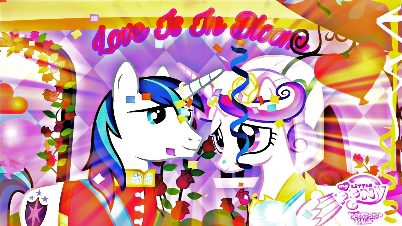 YouTube에서 "Love Is In Bloom" MLP: Friendship Is Magic 보기 YouTube에서 "Love Is In Bloom" MLP: Friendship Is Magic 보기