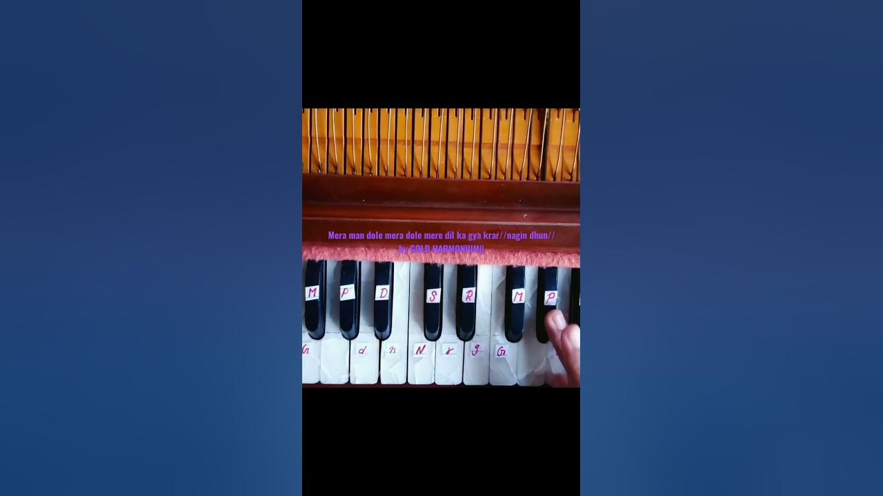 Mera tan dole Mera man dole||nagin dhun||GOLD HARMONIUM||