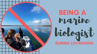 Life as a marine biologist postdoc during lockdown