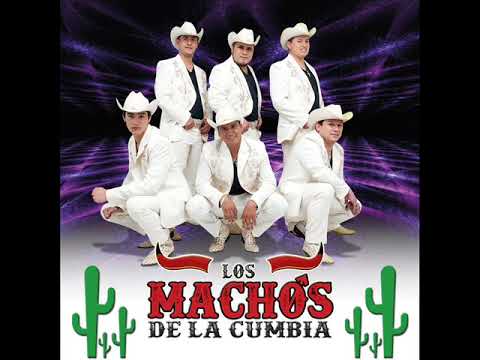 Putar Vida Mia - Los Machos de la Cumbia
