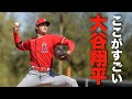 米紙記者が最も驚いた大谷翔平の数値とは