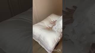 Ватсап +79275300798/недорогая доставка!!!#рынок #посуда #садовод #home #садоводмосква #kitchen
