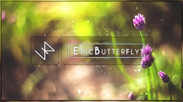 Thomas Vent - Berta Berta || EpicButterfly