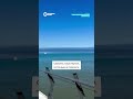 Новая атака дронов ВСУ на Туапсе: кадры последствий
