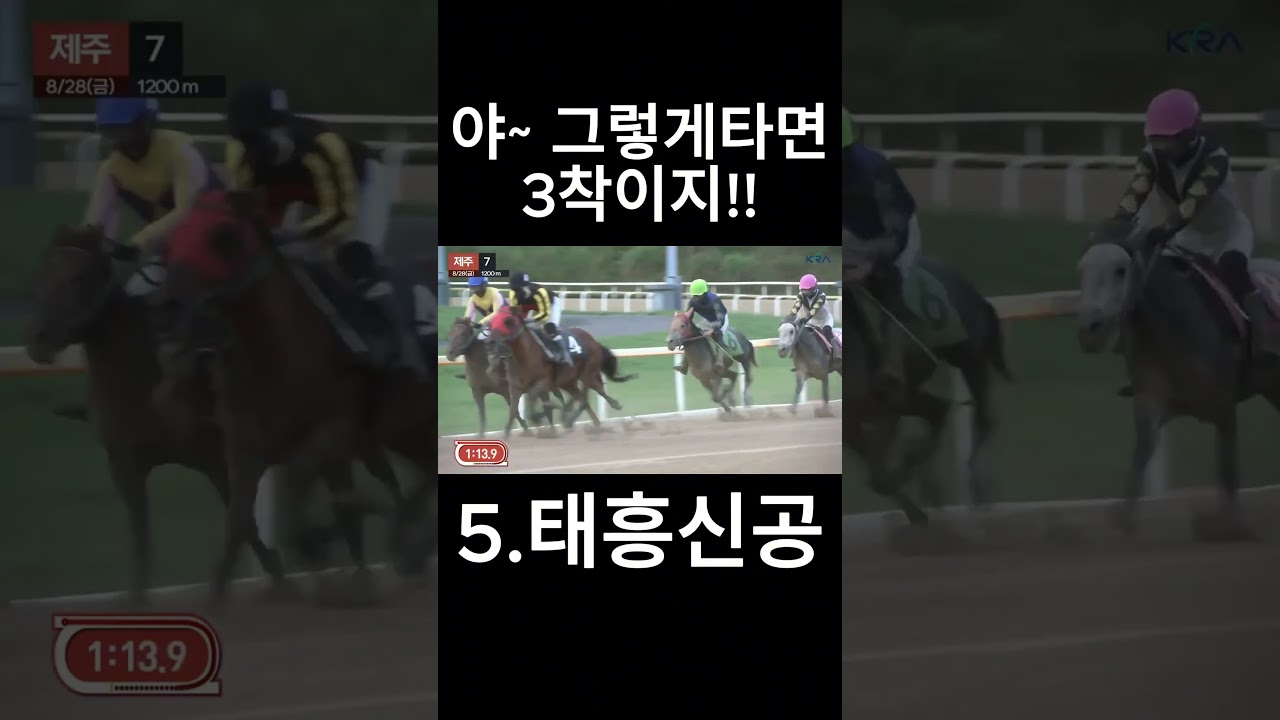 그렇게 타면  3착이지  #경마  #경마예상  #경마방송  #경마예상방송  #서울경마  #금요경마  #토요경마  #일요경마 #경마장