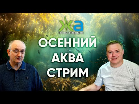 Видео: Осенний стрим по аквариумистике с Александром Ершовым