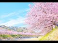 【山王小学校】山王こどもの歌と山王音頭