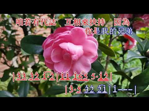 013你是我的兄弟Bb