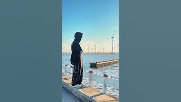 Địa điểm check in cực hot ở Bạc Liêu | Cánh Đồng Điện Gió Bạc Liêu #dulich #travel #dulichmientay