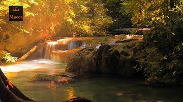 سورة الفاتحة مع ما تيسر من سورة الحجر - بصوت هزاع البلوشي