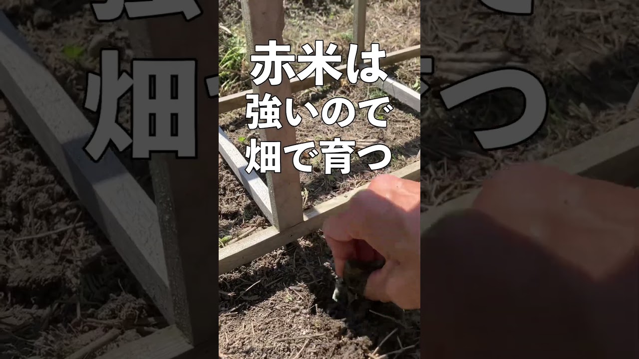 2023年6月20日