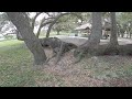 walking t.y. park - hollywood florida - nature walk - 10/17/2022