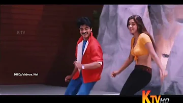 Ethirum puthrum Movie Song  Thottu Thottu Pesum Sultana